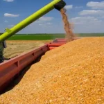 Choosing the Right GSI Bins for Your Farming Needs